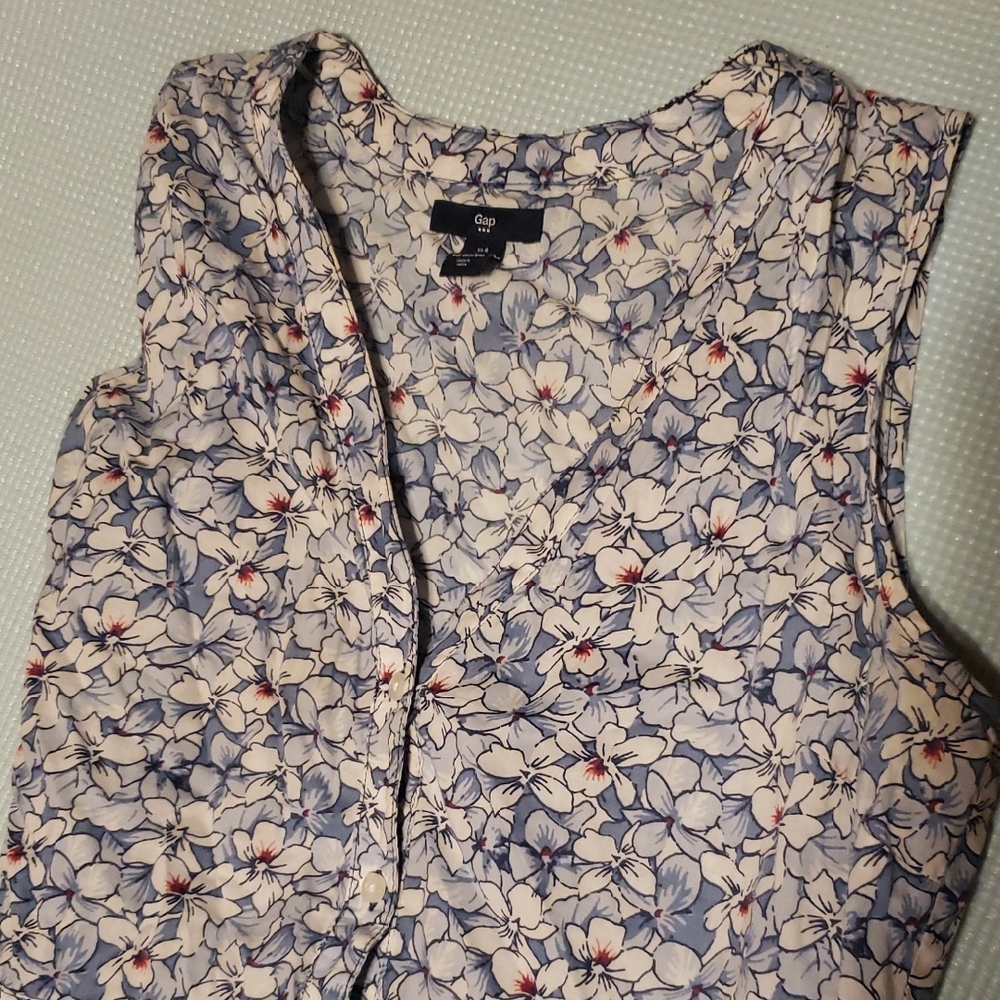 GAP Blue and Red Floral Sleeveless Dress